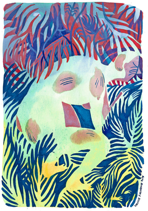 image - Coline Sauvand